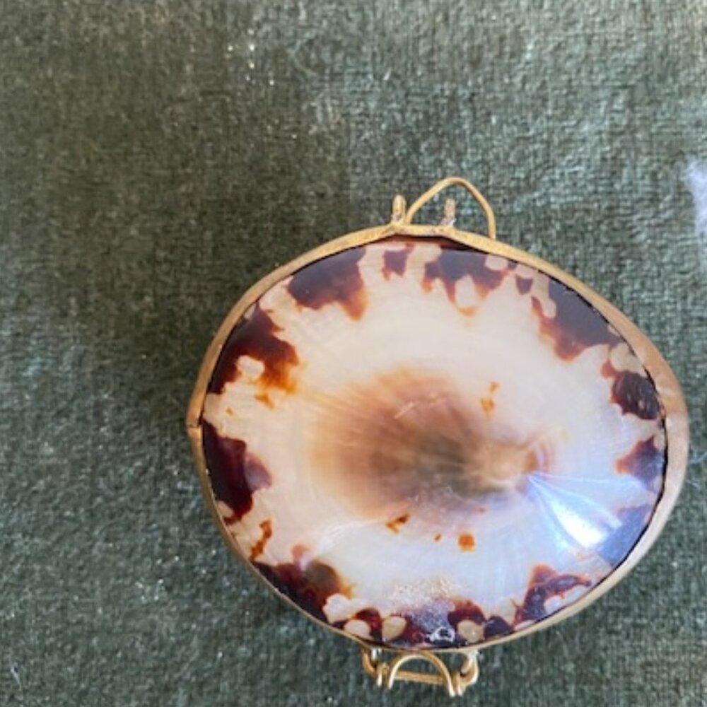 Natural Limpet Shell Brass Hinged Trinket Jewelry Pill Box Brown And White